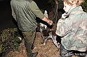 VBS_6495 - Inaugurazione Stagione 2022-23 Simulazione Ricerca Tartufo